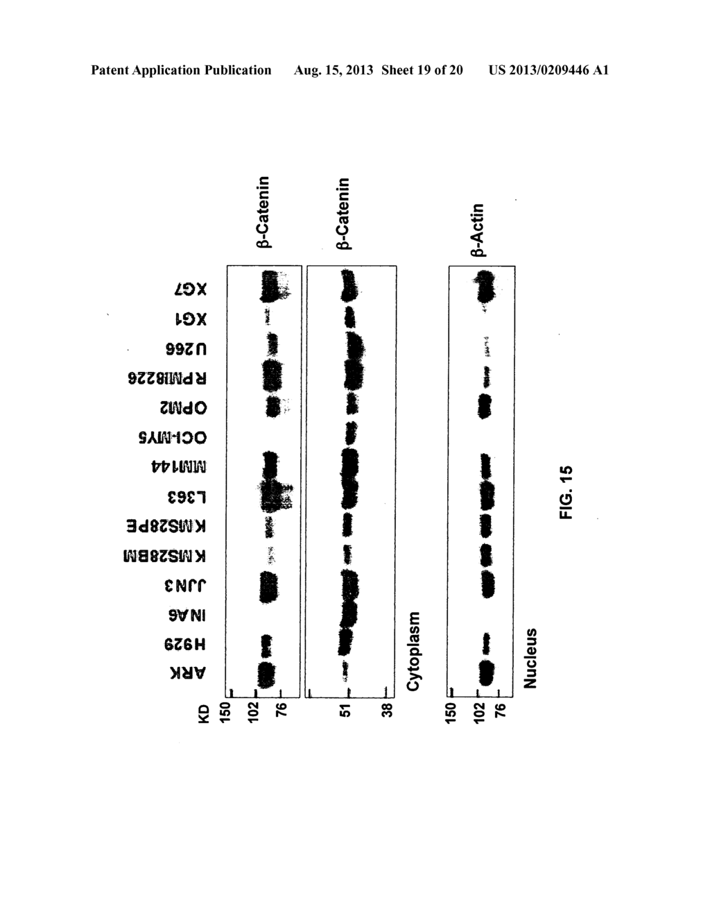 Copy Number Variant-Dependent Genes As Diagnostic Tools, Predictive     Biomarkers And Therapeutic Targets - diagram, schematic, and image 20