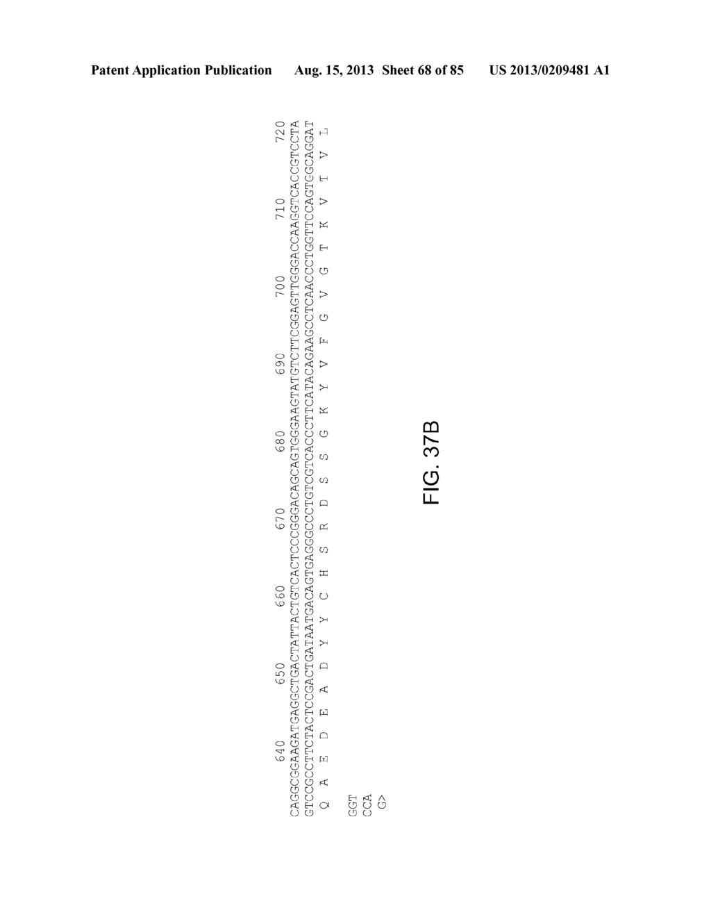 Anti-Tumor Antigen Antibodies and Methods of Use - diagram, schematic, and image 69