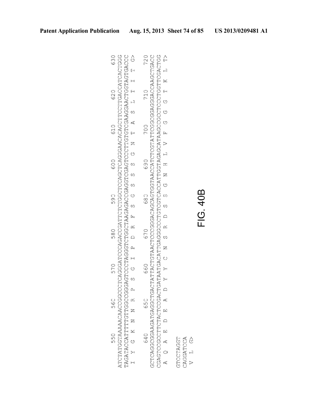 Anti-Tumor Antigen Antibodies and Methods of Use - diagram, schematic, and image 75