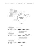 Rotavirus Subunit Vaccines and Methods of Making and Use Thereof diagram and image