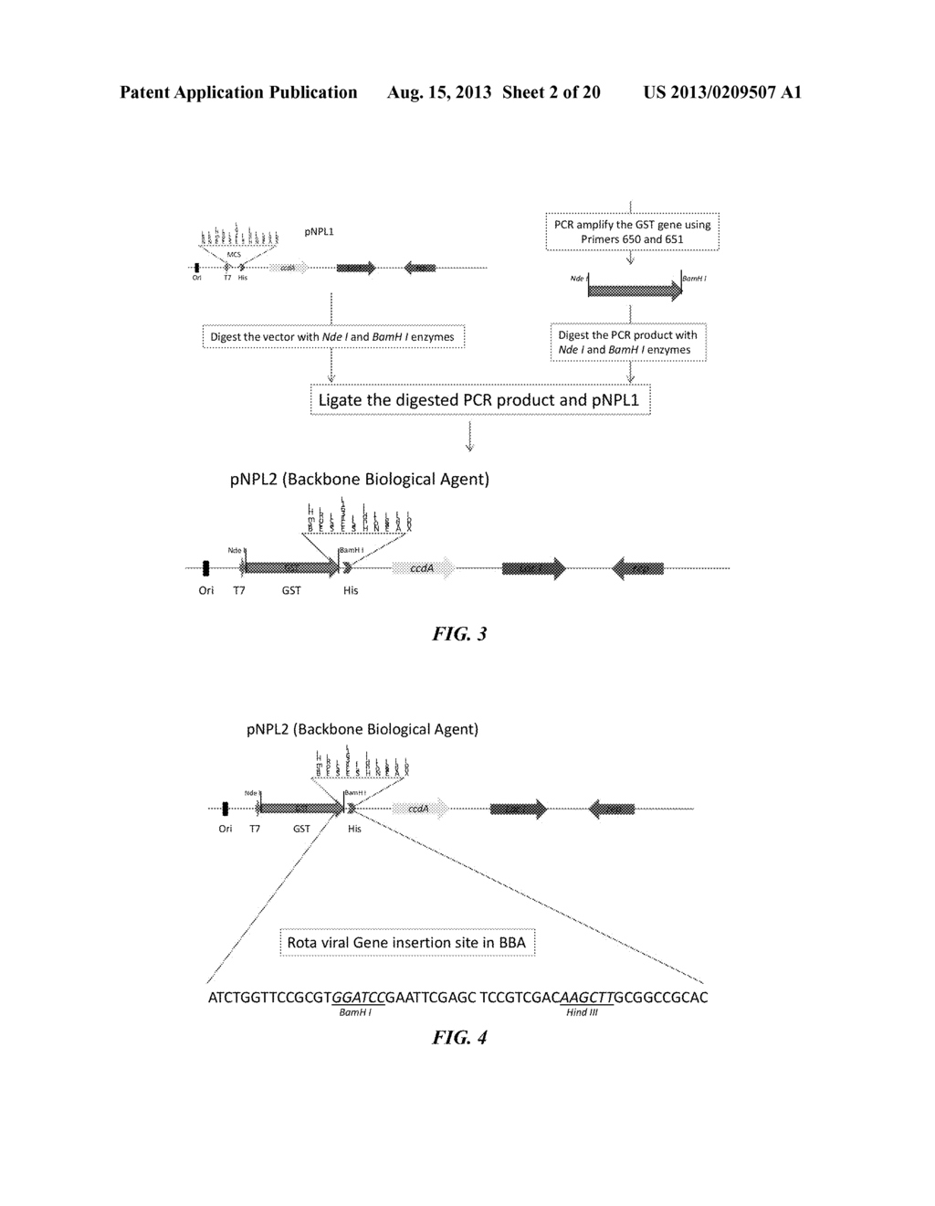 Rotavirus Subunit Vaccines and Methods of Making and Use Thereof - diagram, schematic, and image 03