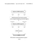 Rotavirus Subunit Vaccines and Methods of Making and Use Thereof diagram and image