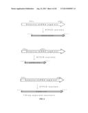 Rotavirus Subunit Vaccines and Methods of Making and Use Thereof diagram and image