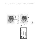 Drug Release from a Polymer-Controlled Local Antibiotic Delivery System     Using a Degradable Bone Graft diagram and image