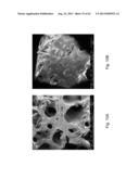 Drug Release from a Polymer-Controlled Local Antibiotic Delivery System     Using a Degradable Bone Graft diagram and image