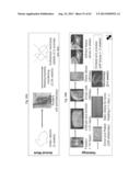 Drug Release from a Polymer-Controlled Local Antibiotic Delivery System     Using a Degradable Bone Graft diagram and image