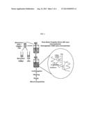 PVA-BORONIC ACID CONTAINING COPOLYMER COMPOSITIONS FOR PROTEIN DELIVERY diagram and image