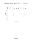 BIODEGRADABLE OCULAR IMPLANT diagram and image