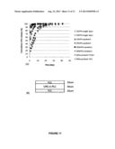 BIODEGRADABLE OCULAR IMPLANT diagram and image