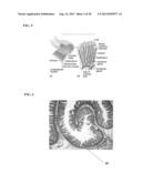 Buffered Upper GI Absorption Promoter diagram and image