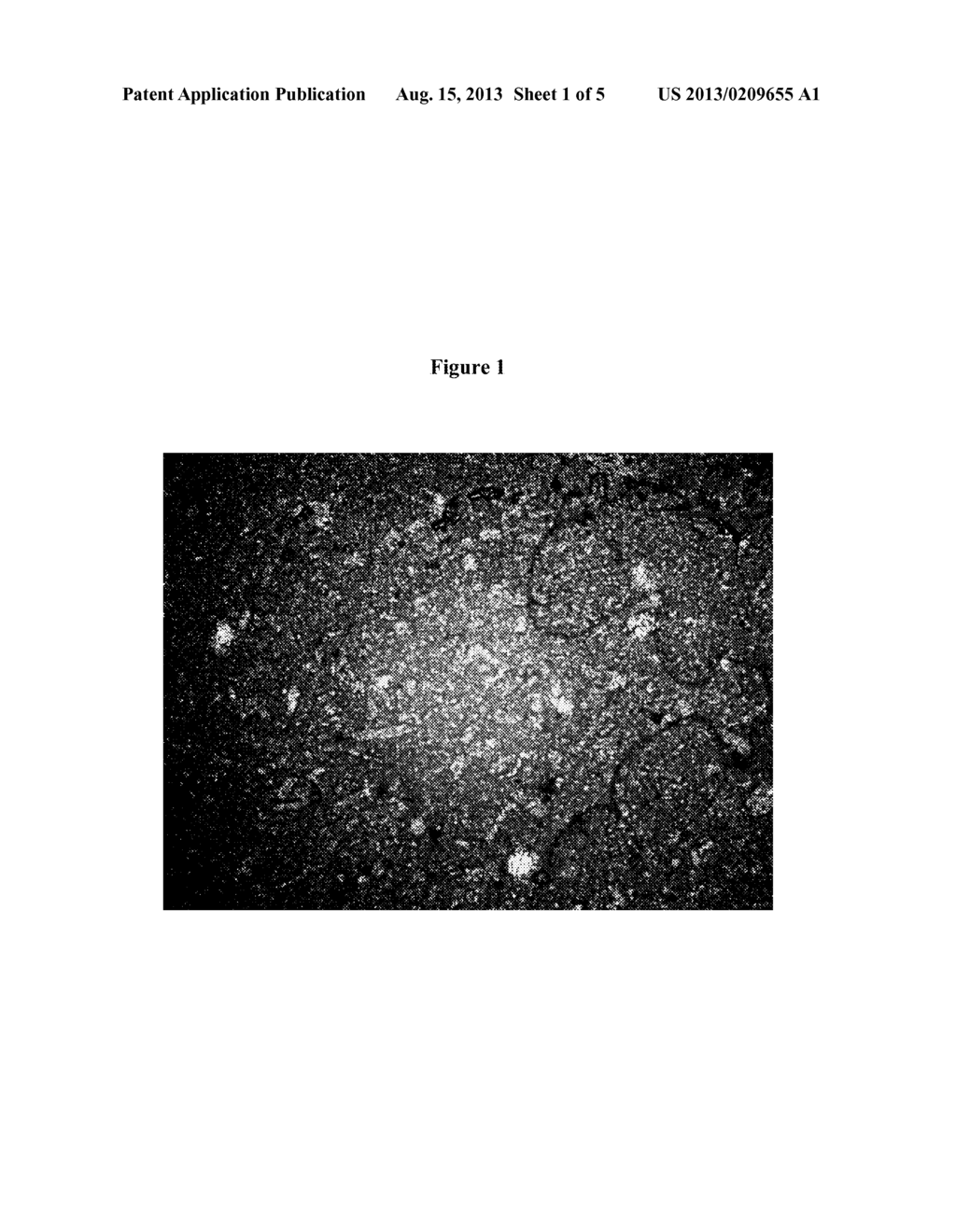 REDUCED TRANS AND SATURATED FATTY ACID SPREAD COMPOSITIONS - diagram, schematic, and image 02