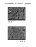 PROCESSES FOR MAKING POROUS IMPLANTABLE MATERIALS diagram and image