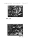 PROCESSES FOR MAKING POROUS IMPLANTABLE MATERIALS diagram and image