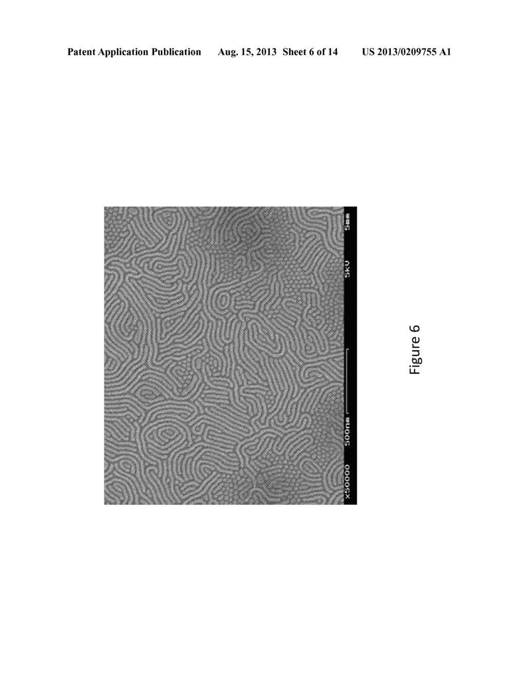 SELF-ASSEMBLED STRUCTURES, METHOD OF MANUFACTURE THEREOF AND ARTICLES     COMPRISING THE SAME - diagram, schematic, and image 07