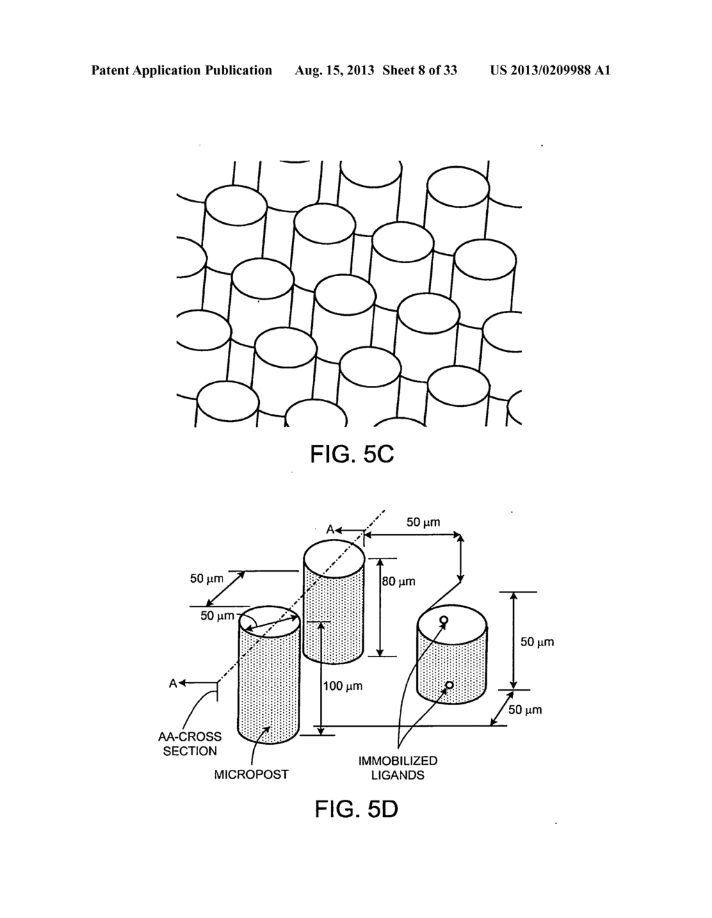 MICROFLUIDIC DEVICES FOR THE CAPTURE OF BIOLOGICAL SAMPLE COMPONENTS - diagram, schematic, and image 09