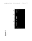 COMPOSITIONS FOR STABILIZING DNA, RNA AND PROTEINS IN SALIVA AND OTHER     BIOLOGICAL SAMPLES DURING SHIPPING AND STORAGE AT AMBIENT TEMPERATURES diagram and image