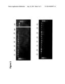 COMPOSITIONS FOR STABILIZING DNA, RNA AND PROTEINS IN SALIVA AND OTHER     BIOLOGICAL SAMPLES DURING SHIPPING AND STORAGE AT AMBIENT TEMPERATURES diagram and image