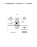 METHODS AND BIOMARKERS FOR DETECTION OF BLADDER CANCER diagram and image