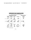 DETECTION OF ADENYLATE CYCLASE diagram and image