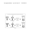 DETECTION OF ADENYLATE CYCLASE diagram and image