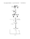 DETECTION OF ADENYLATE CYCLASE diagram and image