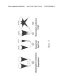 SYSTEM FOR NONINVASIVE DETERMINATION OF WATER IN TISSUE diagram and image