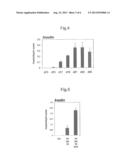 METHOD OF PRODUCING PANCREATIC HORMONE-PRODUCING CELLS diagram and image