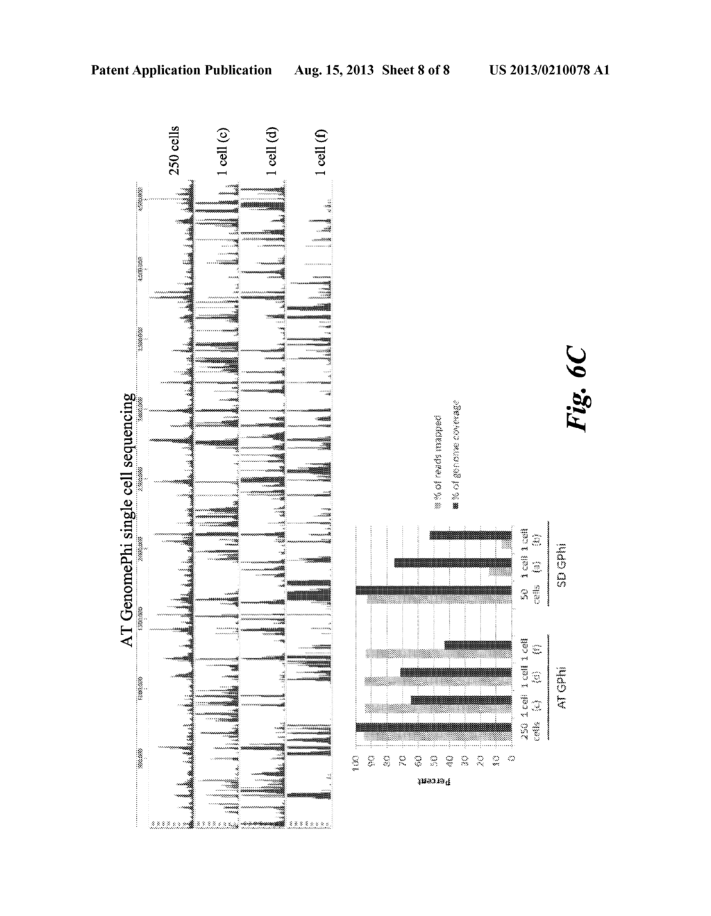 METHODS AND KITS FOR REDUCING NON-SPECIFIC NUCLEIC ACID AMPLIFICATION - diagram, schematic, and image 09