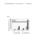 HIGH-EXPRESSION PROMOTER DERIVED FROM KLUYVEROMYCES MARXIANUS diagram and image