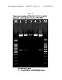 METHOD FOR CONTROLLING THE CHAPERONE ACTIVITY OF PEROXIREDOXINS USING     IRRADIATION diagram and image