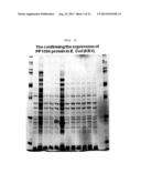 METHOD FOR CONTROLLING THE CHAPERONE ACTIVITY OF PEROXIREDOXINS USING     IRRADIATION diagram and image