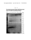 METHOD FOR CONTROLLING THE CHAPERONE ACTIVITY OF PEROXIREDOXINS USING     IRRADIATION diagram and image