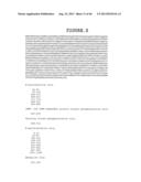 COMPOSITION AND METHODS FOR THE DIAGNOSIS AND TREATMENT OF TUMOR diagram and image