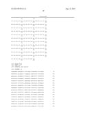 COMPOSITION AND METHODS FOR THE DIAGNOSIS AND TREATMENT OF TUMOR diagram and image