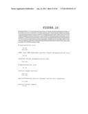 COMPOSITION AND METHODS FOR THE DIAGNOSIS AND TREATMENT OF TUMOR diagram and image