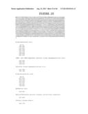 COMPOSITION AND METHODS FOR THE DIAGNOSIS AND TREATMENT OF TUMOR diagram and image