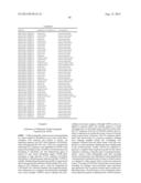 COMPOSITION AND METHODS FOR THE DIAGNOSIS AND TREATMENT OF TUMOR diagram and image