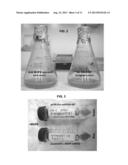 Inducible Gene Expression Composition for Using Eukaryotic Pol-2     Promoter-Driven Transcription in Prokaryotes and the Applications Thereof diagram and image