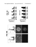 Inducible Gene Expression Composition for Using Eukaryotic Pol-2     Promoter-Driven Transcription in Prokaryotes and the Applications Thereof diagram and image