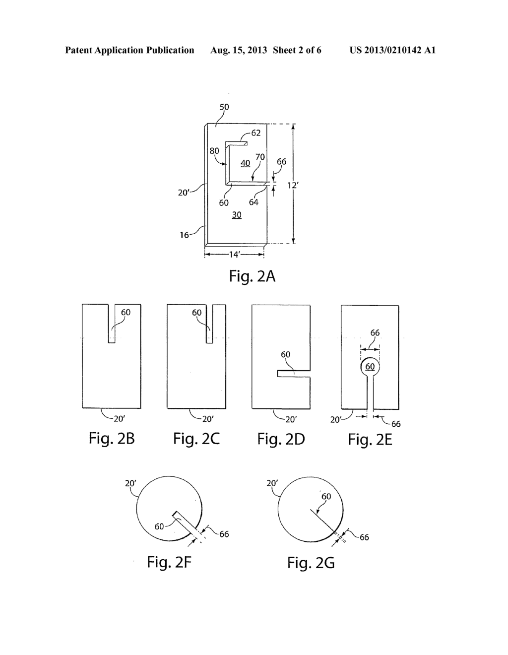 Methods and Compositions for Enhancing Vascular Access - diagram, schematic, and image 03