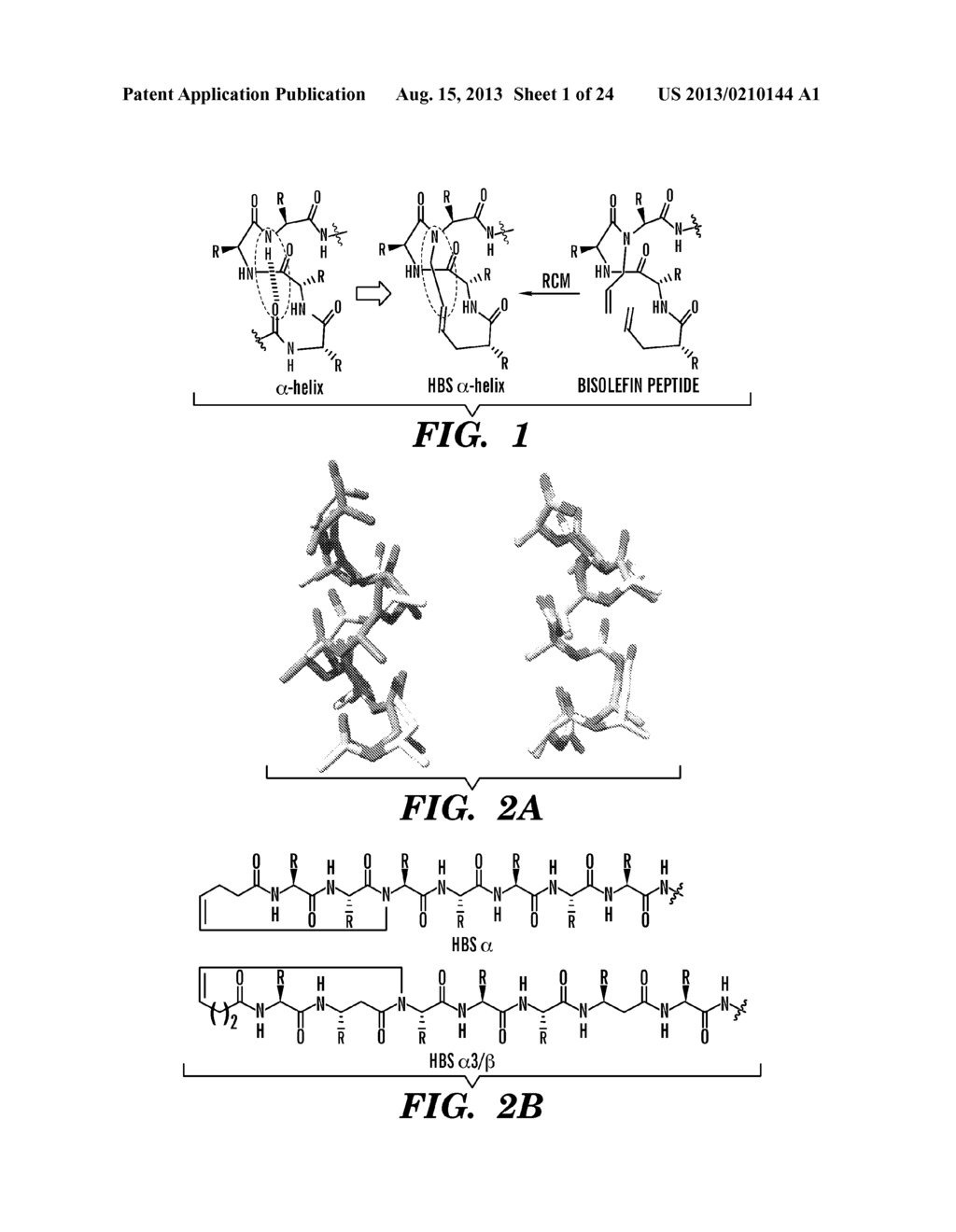 PROTEOLYTICALLY RESISTANT HYDROGEN BOND SURROGATE HELICES - diagram, schematic, and image 02