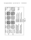 COMPOSITION FOR INDUCING PLURIPOTENT STEM CELL, AND USE THEREOF diagram and image