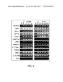 COMPOSITION FOR INDUCING PLURIPOTENT STEM CELL, AND USE THEREOF diagram and image