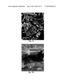 KINETIC STABILIZATION OF MAGNESIUM HYDRIDE diagram and image