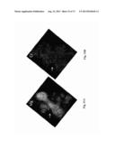 KINETIC STABILIZATION OF MAGNESIUM HYDRIDE diagram and image