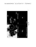 KINETIC STABILIZATION OF MAGNESIUM HYDRIDE diagram and image