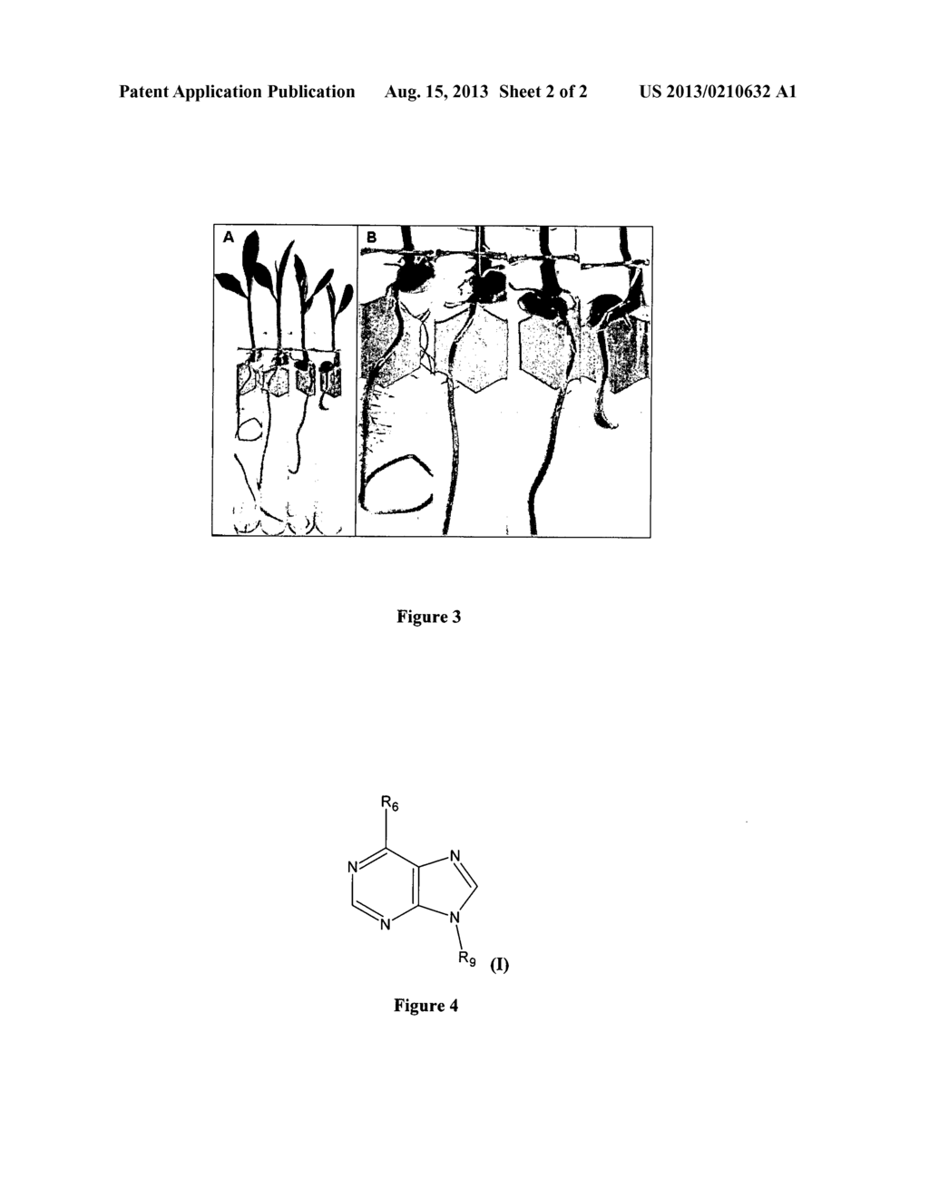 USE OF 6- SUBSTITUTED 9 -  HALOGENALKYL PURINES FOR REGULATION OF GROWTH     AND DEVELOPMENT OF WHOLE PLANTS, PLANT CELLS AND PLANT ORGANS; NOVEL 6 -     SUBSTITUTED 9 - HALOGENALKYL PURINES - diagram, schematic, and image 03