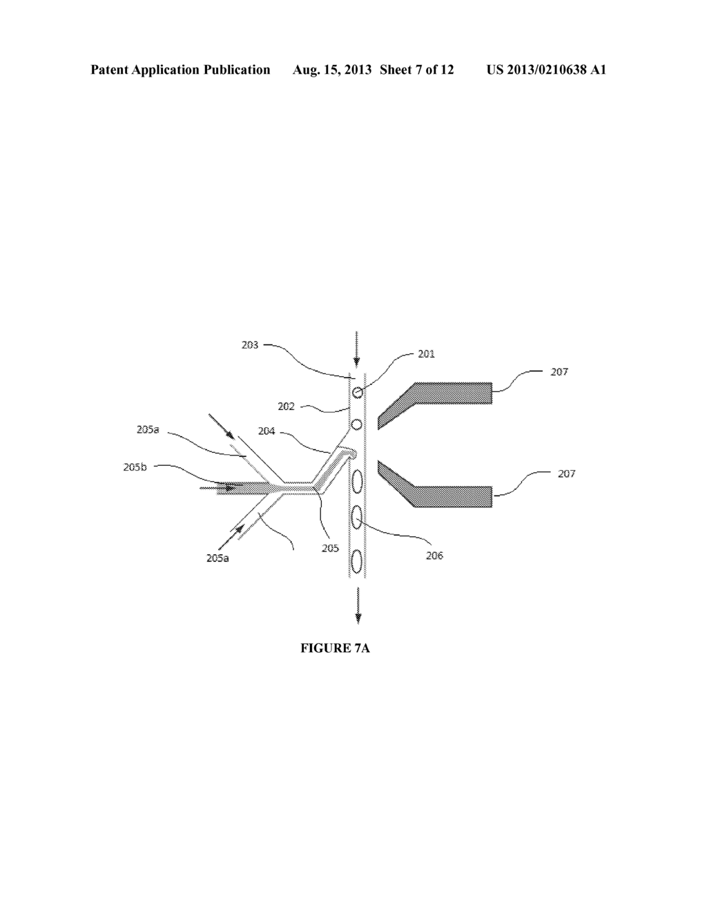 METHODS FOR SEQUENCING NUCLEIC ACID - diagram, schematic, and image 08