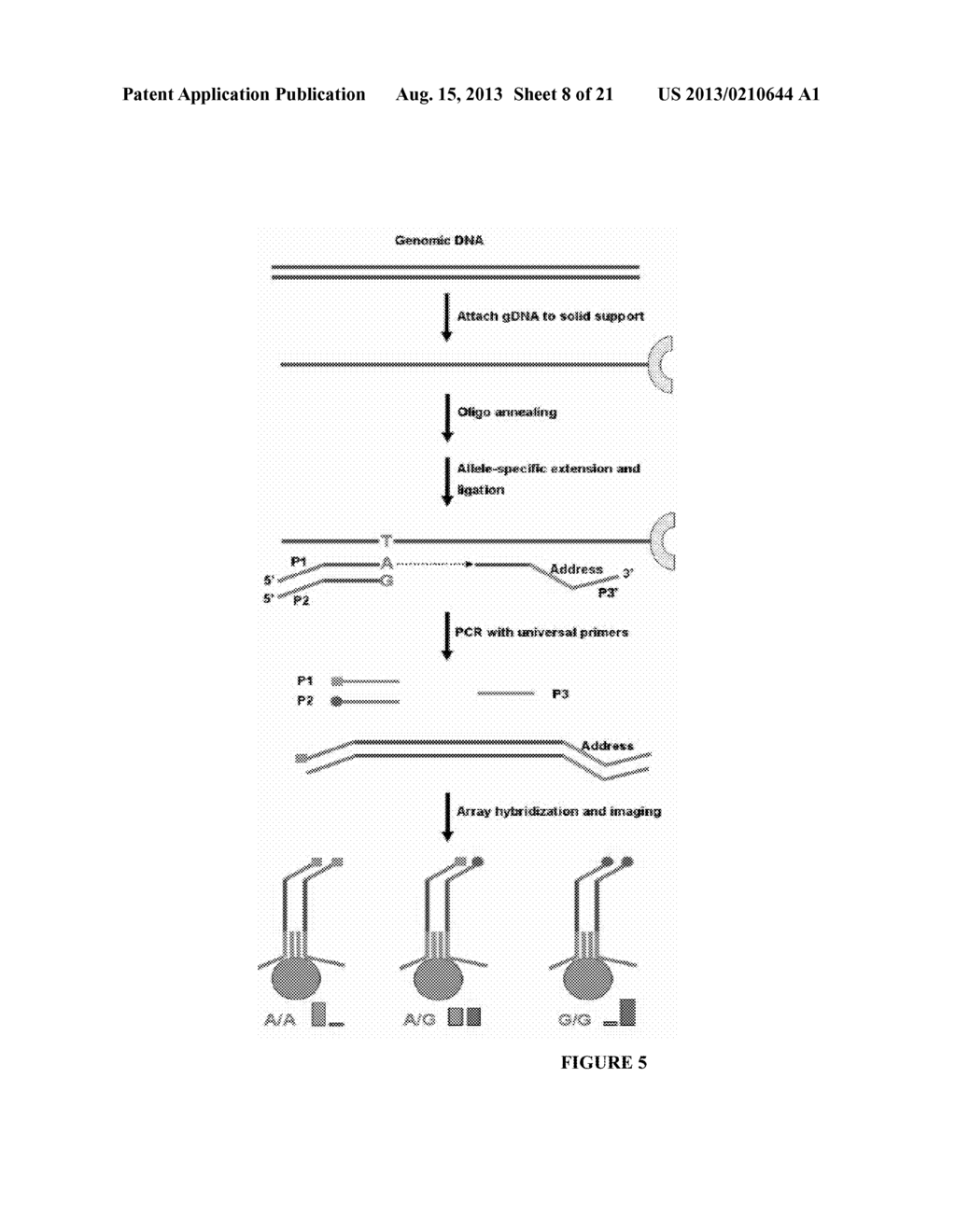 FETAL ANEUPLOIDY DETECTION BY SEQUENCING - diagram, schematic, and image 09
