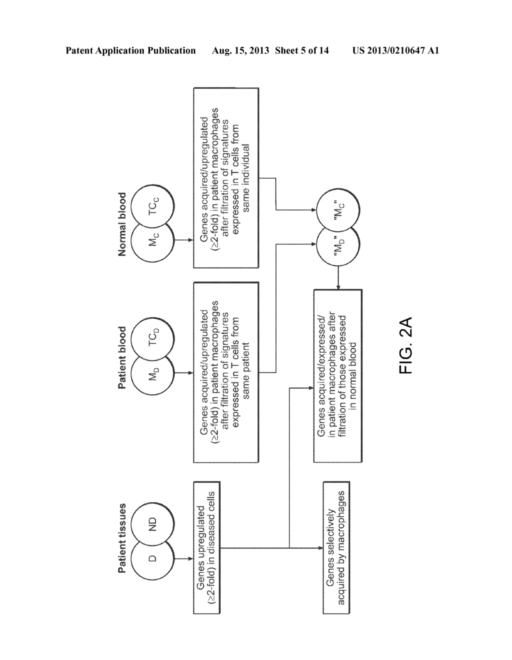 Methods of Detecting Cardiovascular Diseases or Conditions - diagram, schematic, and image 06